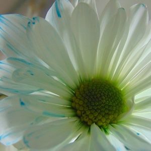 Meet your Posher, Thie